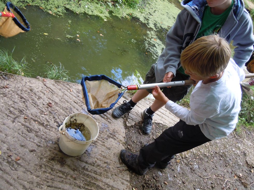 children pond dipping